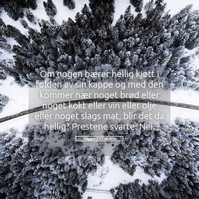 Picture 05 - Haggai 2:12 NORSK - Om nogen bærer hellig kjøtt i folden av sin - Bible Verse Picture