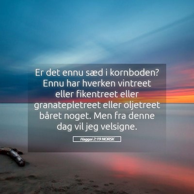 Picture 05 - Haggai 2:19 NORSK - Er det ennu sæd i kornboden? Ennu har hverken - Bible Verse Picture