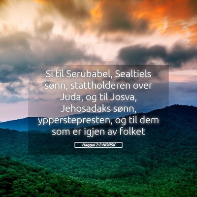 Picture 05 - Haggai 2:2 NORSK - Si til Serubabel, Sealtiels sønn, stattholderen - Bible Verse Picture