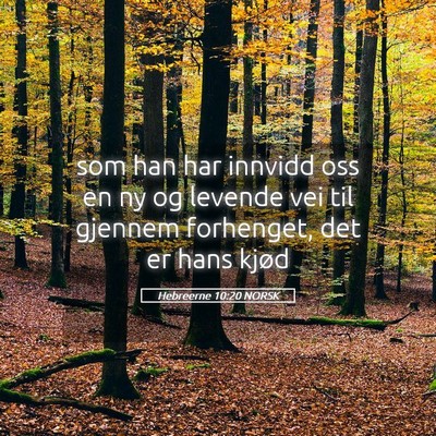 Picture 05 - Hebreerne 10:20 NORSK - som han har innvidd oss en ny og levende vei til - Bible Verse Picture