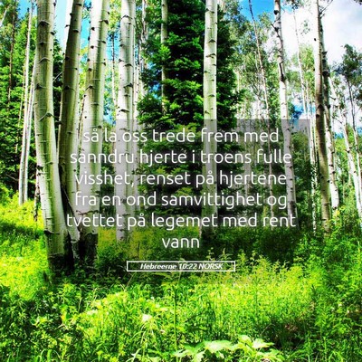 Picture 05 - Hebreerne 10:22 NORSK - så la oss trede frem med sanndru hjerte i troens - Bible Verse Picture