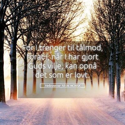 Picture 05 - Hebreerne 10:36 NORSK - For I trenger til tålmod, forat I, når I har - Bible Verse Picture