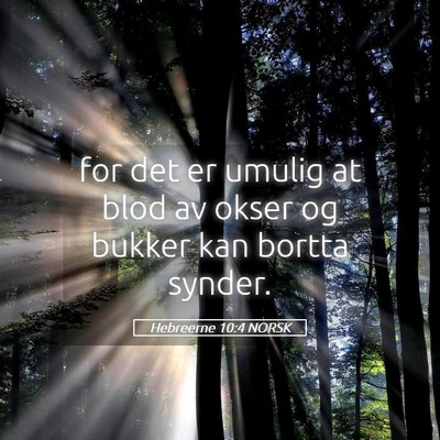 Picture 05 - Hebreerne 10:4 NORSK - for det er umulig at blod av okser og bukker kan - Bible Verse Picture