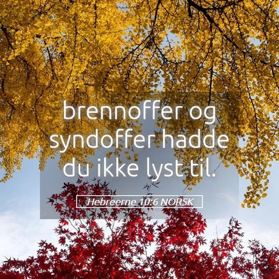 Picture 05 - Hebreerne 10:6 NORSK - brennoffer og syndoffer hadde du ikke lyst - Bible Verse Picture