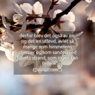 Picture 05 - Hebreerne 11:12 NORSK - derfor blev det også av en, og det en utlevd, - Bible Verse Picture