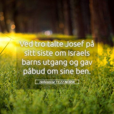 Picture 05 - Hebreerne 11:22 NORSK - Ved tro talte Josef på sitt siste om Israels - Bible Verse Picture