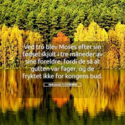 Picture 05 - Hebreerne 11:23 NORSK - Ved tro blev Moses efter sin fødsel skjult i tre - Bible Verse Picture