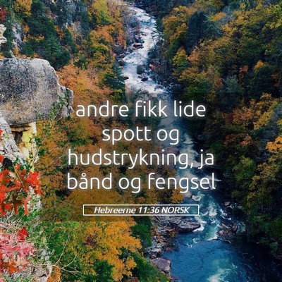 Picture 05 - Hebreerne 11:36 NORSK - andre fikk lide spott og hudstrykning, ja bånd - Bible Verse Picture