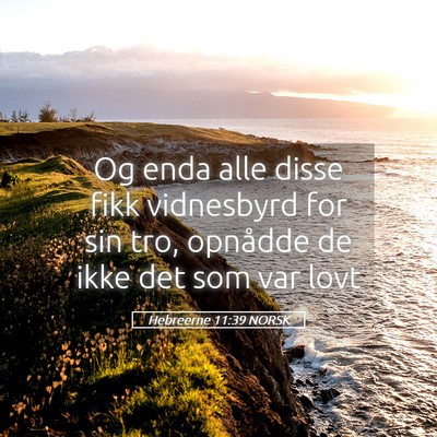 Picture 05 - Hebreerne 11:39 NORSK - Og enda alle disse fikk vidnesbyrd for sin tro, - Bible Verse Picture