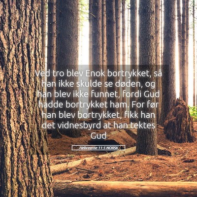 Picture 05 - Hebreerne 11:5 NORSK - Ved tro blev Enok bortrykket, så han ikke skulde - Bible Verse Picture