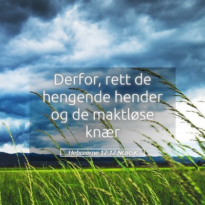 Picture 05 - Hebreerne 12:12 NORSK - Derfor, rett de hengende hender og de maktløse - Bible Verse Picture