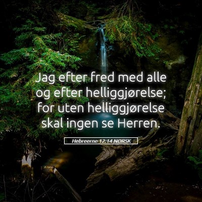 Picture 05 - Hebreerne 12:14 NORSK - Jag efter fred med alle og efter helliggjørelse; - Bible Verse Picture