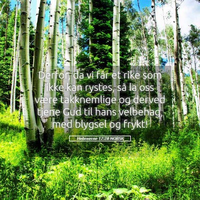 Picture 05 - Hebreerne 12:28 NORSK - Derfor, da vi får et rike som ikke kan rystes, - Bible Verse Picture