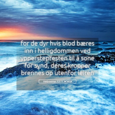 Picture 05 - Hebreerne 13:11 NORSK - for de dyr hvis blod bæres inn i helligdommen - Bible Verse Picture