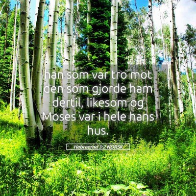 Picture 05 - Hebreerne 3:2 NORSK - han som var tro mot den som gjorde ham dertil, - Bible Verse Picture
