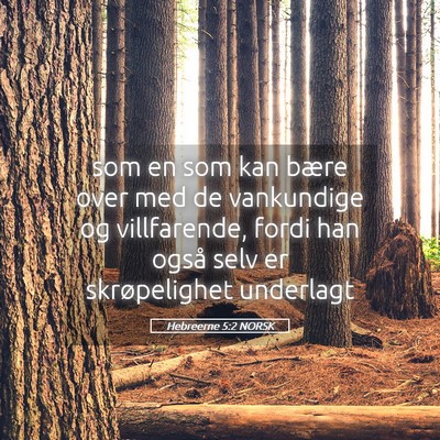 Picture 05 - Hebreerne 5:2 NORSK - som en som kan bære over med de vankundige og - Bible Verse Picture