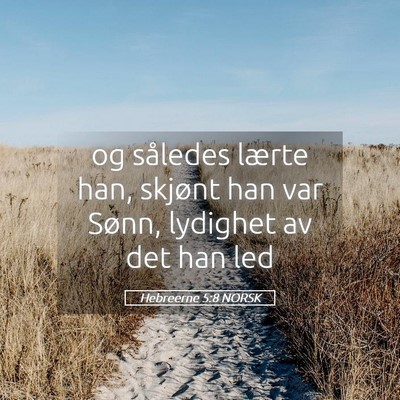 Picture 05 - Hebreerne 5:8 NORSK - og således lærte han, skjønt han var Sønn, - Bible Verse Picture