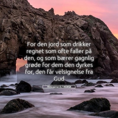 Picture 05 - Hebreerne 6:7 NORSK - For den jord som drikker regnet som ofte faller - Bible Verse Picture