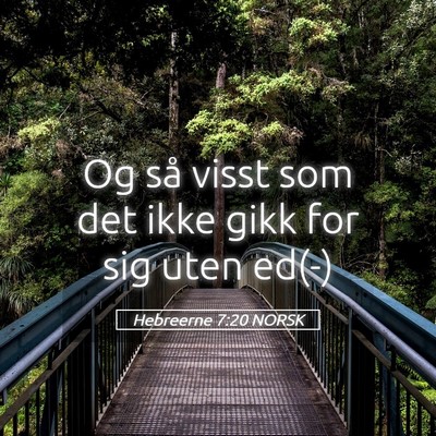 Picture 05 - Hebreerne 7:20 NORSK - Og så visst som det ikke gikk for sig uten - Bible Verse Picture