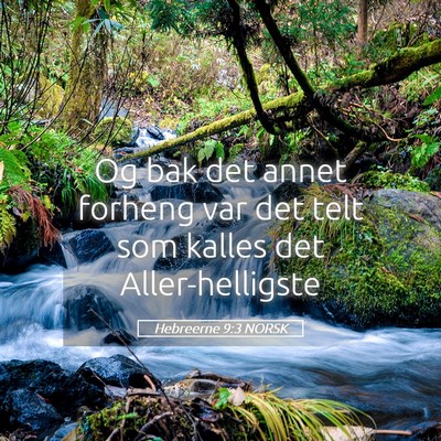 Picture 05 - Hebreerne 9:3 NORSK - Og bak det annet forheng var det telt som kalles - Bible Verse Picture
