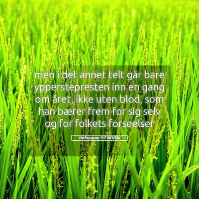 Picture 05 - Hebreerne 9:7 NORSK - men i det annet telt går bare ypperstepresten - Bible Verse Picture