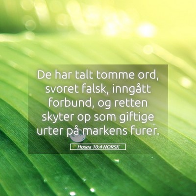 Picture 05 - Hosea 10:4 NORSK - De har talt tomme ord, svoret falsk, inngått - Bible Verse Picture