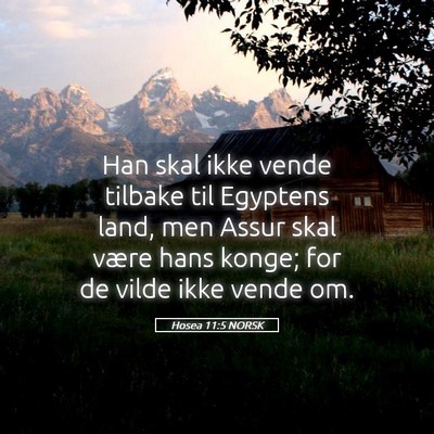 Picture 05 - Hosea 11:5 NORSK - Han skal ikke vende tilbake til Egyptens land, - Bible Verse Picture