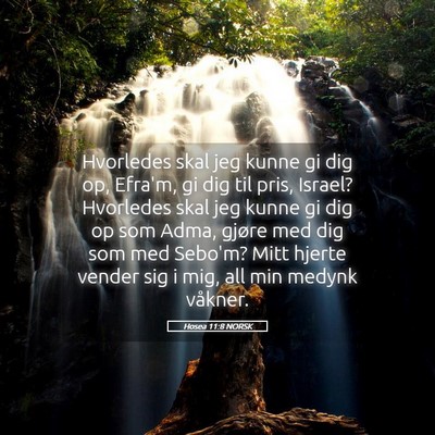 Picture 05 - Hosea 11:8 NORSK - Hvorledes skal jeg kunne gi dig op, Efra'm, gi - Bible Verse Picture