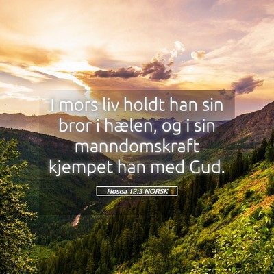 Picture 05 - Hosea 12:3 NORSK - I mors liv holdt han sin bror i hælen, og i sin - Bible Verse Picture