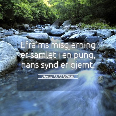 Picture 05 - Hosea 13:12 NORSK - Efra'ms misgjerning er samlet i en pung, hans - Bible Verse Picture