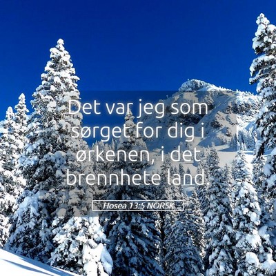 Picture 05 - Hosea 13:5 NORSK - Det var jeg som sørget for dig i ørkenen, i det - Bible Verse Picture