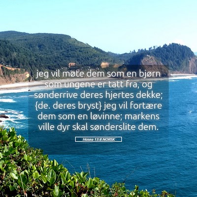 Picture 05 - Hosea 13:8 NORSK - jeg vil møte dem som en bjørn som ungene er - Bible Verse Picture