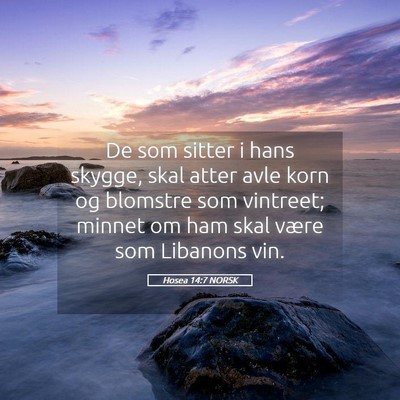 Picture 05 - Hosea 14:7 NORSK - De som sitter i hans skygge, skal atter avle korn - Bible Verse Picture