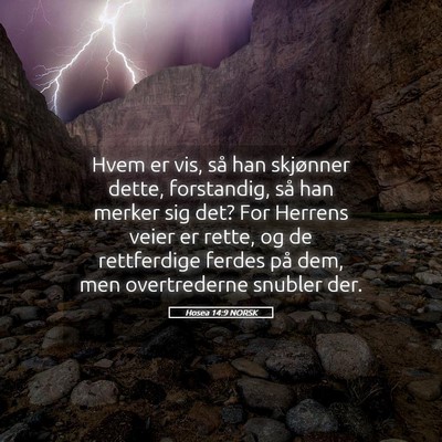 Picture 05 - Hosea 14:9 NORSK - Hvem er vis, så han skjønner dette, forstandig, - Bible Verse Picture