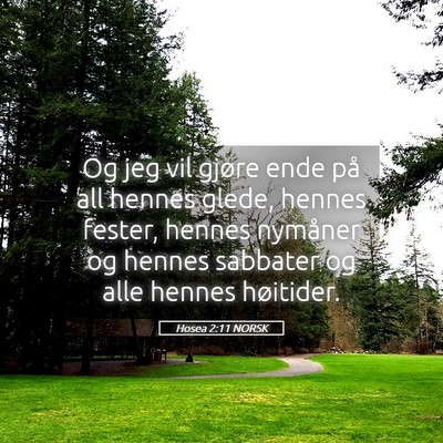Picture 05 - Hosea 2:11 NORSK - Og jeg vil gjøre ende på all hennes glede, - Bible Verse Picture