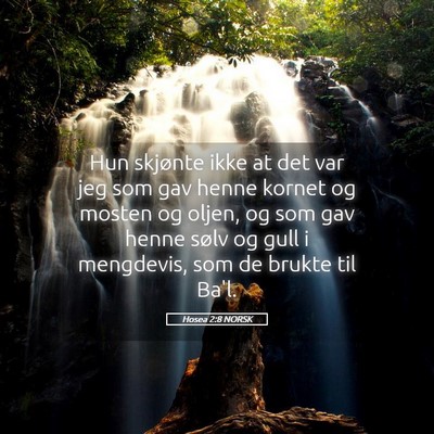 Picture 05 - Hosea 2:8 NORSK - Hun skjønte ikke at det var jeg som gav henne - Bible Verse Picture