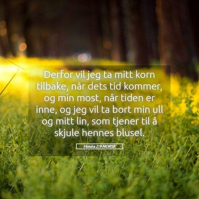 Picture 05 - Hosea 2:9 NORSK - Derfor vil jeg ta mitt korn tilbake, når dets - Bible Verse Picture