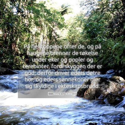 Picture 05 - Hosea 4:13 NORSK - På fjelltoppene ofrer de, og på haugene brenner - Bible Verse Picture
