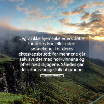 Picture 05 - Hosea 4:14 NORSK - Jeg vil ikke hjemsøke eders døtre for deres - Bible Verse Picture