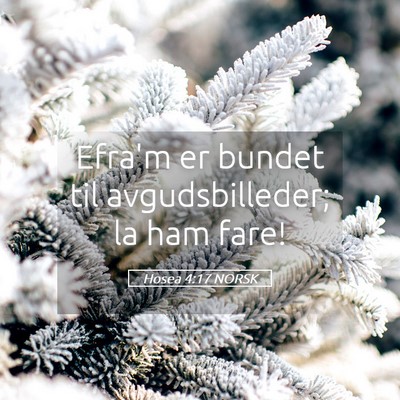 Picture 05 - Hosea 4:17 NORSK - Efra'm er bundet til avgudsbilleder; la ham - Bible Verse Picture