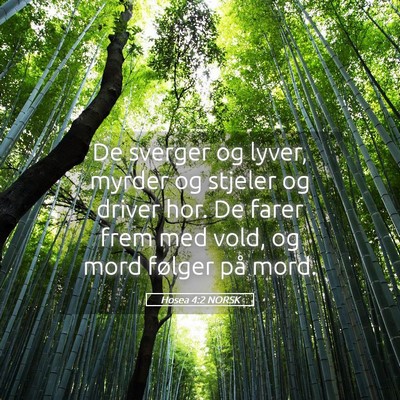 Picture 05 - Hosea 4:2 NORSK - De sverger og lyver, myrder og stjeler og driver - Bible Verse Picture