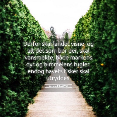 Picture 05 - Hosea 4:3 NORSK - Derfor skal landet visne, og alt det som bor der, - Bible Verse Picture