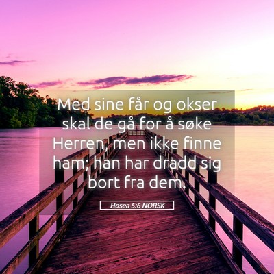 Picture 05 - Hosea 5:6 NORSK - Med sine får og okser skal de gå for å søke - Bible Verse Picture