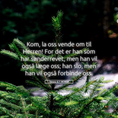 Picture 05 - Hosea 6:1 NORSK - Kom, la oss vende om til Herren! For det er han - Bible Verse Picture