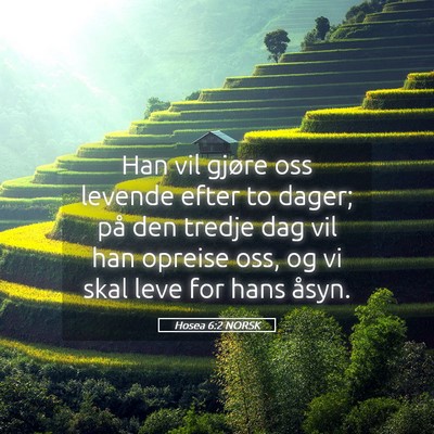 Picture 05 - Hosea 6:2 NORSK - Han vil gjøre oss levende efter to dager; på - Bible Verse Picture