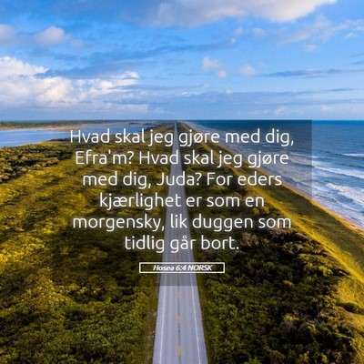 Picture 05 - Hosea 6:4 NORSK - Hvad skal jeg gjøre med dig, Efra'm? Hvad skal - Bible Verse Picture
