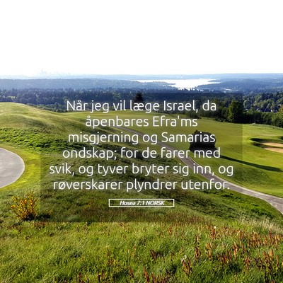 Picture 05 - Hosea 7:1 NORSK - Når jeg vil læge Israel, da åpenbares Efra'ms - Bible Verse Picture