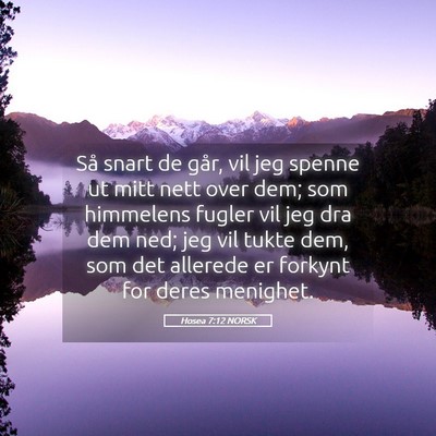 Picture 05 - Hosea 7:12 NORSK - Så snart de går, vil jeg spenne ut mitt nett - Bible Verse Picture