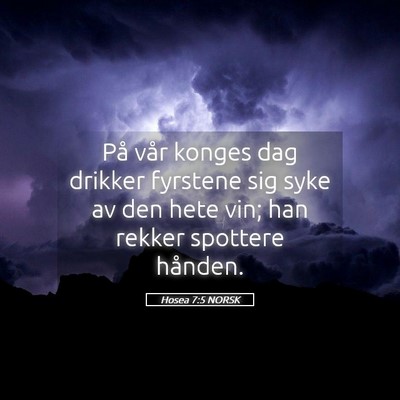 Picture 05 - Hosea 7:5 NORSK - På vår konges dag drikker fyrstene sig syke av - Bible Verse Picture