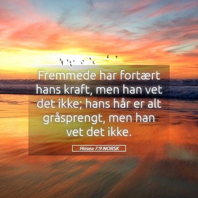 Picture 05 - Hosea 7:9 NORSK - Fremmede har fortært hans kraft, men han vet det - Bible Verse Picture